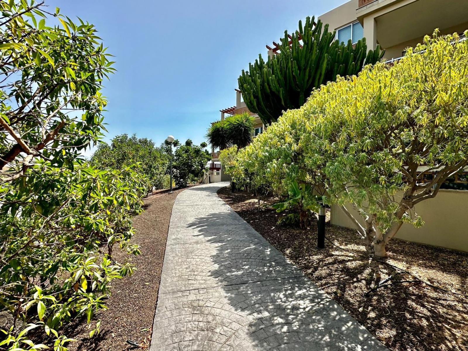 Flat In La Tejita, Medano Διαμέρισμα Granadilla De Abona Εξωτερικό φωτογραφία